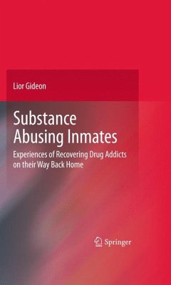 Substance Abusing Inmates (eBook, PDF) - Gideon, Lior