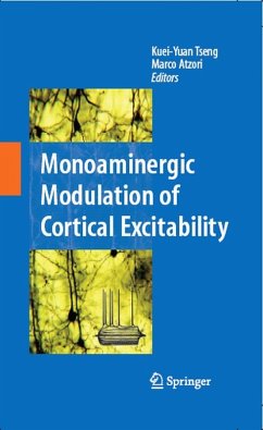 Monoaminergic Modulation of Cortical Excitability (eBook, PDF)