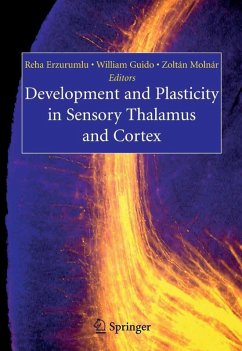 Development and Plasticity in Sensory Thalamus and Cortex (eBook, PDF)