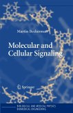 Molecular and Cellular Signaling (eBook, PDF)