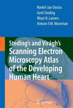 Steding's and Virágh's Scanning Electron Microscopy Atlas of the Developing Human Heart (eBook, PDF) - Oostra, R.J.; Steding, Gerd; Lamers, Wout H.; Moorman, Antoon F.M.