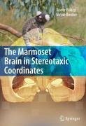 The Marmoset Brain in Stereotaxic Coordinates (eBook, PDF) - Palazzi, Xavier; Bordier, Nicole