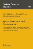 Space, Structure and Randomness (eBook, PDF)
