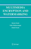Multimedia Encryption and Watermarking (eBook, PDF)