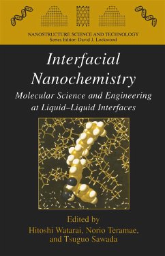 Interfacial Nanochemistry (eBook, PDF)