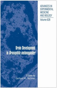 Brain Development in Drosophila melanogaster (eBook, PDF)