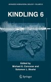 Kindling 6 (eBook, PDF)