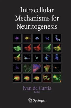 Intracellular Mechanisms for Neuritogenesis (eBook, PDF)