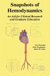 Snapshots of Hemodynamics (eBook, PDF) - Bild 1