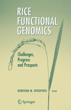 Rice Functional Genomics (eBook, PDF)