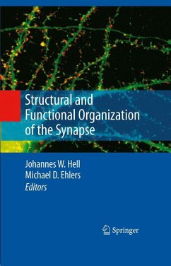 Structural and Functional Organization of the Synapse (eBook, PDF)
