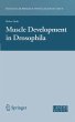 Muscle Development in Drosophilia... - Bild 1