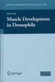 Muscle Development in Drosophilia (eBook, PDF)
