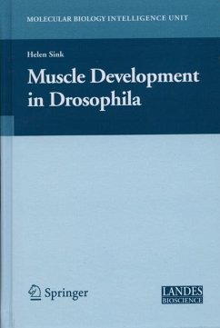 Muscle Development in Drosophilia (eBook, PDF) - Sink, Helen