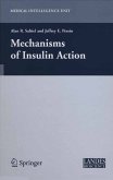 Mechanisms of Insulin Action (eBook, PDF)