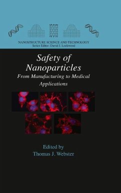 Safety of Nanoparticles (eBook, PDF)