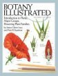 Botany Illustrated (eBook, PDF) - Bild 1