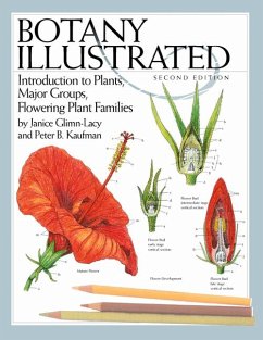 Botany Illustrated (eBook, PDF)
