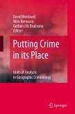 Putting Crime in its Place (eBook, PDF)