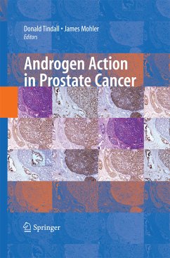 Androgen Action in Prostate Cancer (eBook, PDF)