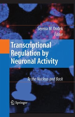 Transcriptional Regulation by Neuronal Activity (eBook, PDF)