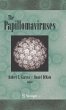 The Papillomaviruses (eBook, PDF) - Bild 1