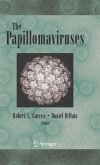 The Papillomaviruses (eBook, PDF)