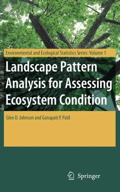 Landscape Pattern Analysis for Assessing Ecosystem Condition (eBook, PDF) - Johnson, Glen D.; Patil, Ganapati P.