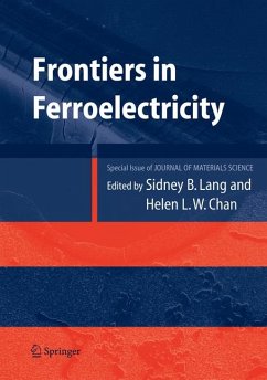Frontiers of Ferroelectricity (eBook, PDF) - Lang, Sidney B.; Chan, Helen L.W.
