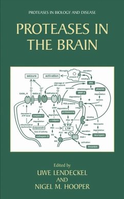 Proteases in the Brain (eBook, PDF)