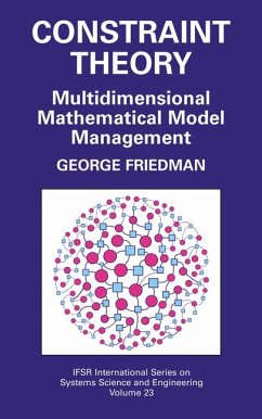 Constraint Theory (eBook, PDF) - Friedman, George