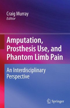 Amputation, Prosthesis Use, and Phantom Limb Pain (eBook, PDF)