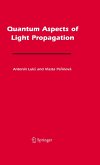 Quantum Aspects of Light Propagation (eBook, PDF)