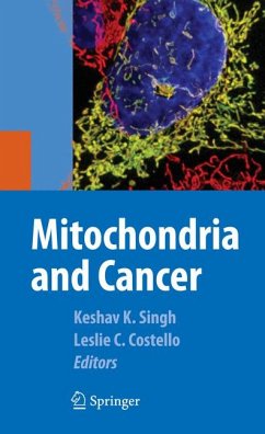 Mitochondria and Cancer (eBook, PDF)