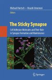 The Sticky Synapse (eBook, PDF)