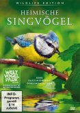 Heimische Singvögel Heimische Singvögel