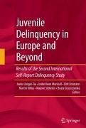 Juvenile Delinquency in Europe and Beyond (eBook, PDF)