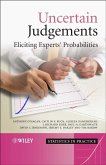 Uncertain Judgements (eBook, PDF)