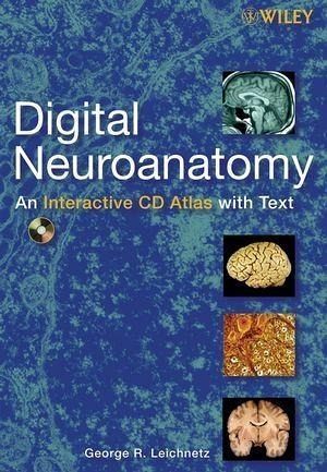Digital Neuroanatomy (eBook, PDF)