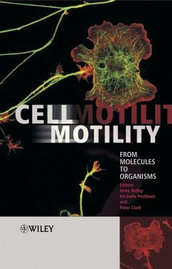 Cell Motility (eBook, PDF)