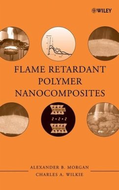 Flame Retardant Polymer Nanocomposites (eBook, PDF)