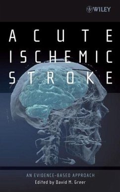 Cover Acute Ischemic Stroke (eBook, PDF)