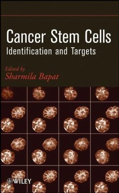 Cancer Stem Cells (eBook, PDF)