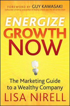 Energize Growth Now (eBook, PDF) - Nirell, Lisa