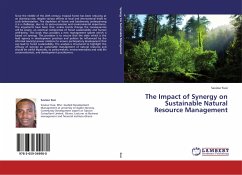 The Impact of Synergy on Sustainable Natural Resource Management