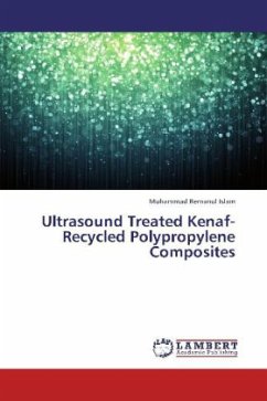 Ultrasound Treated Kenaf-Recycled Polypropylene Composites
