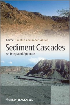 Sediment Cascades (eBook, PDF)