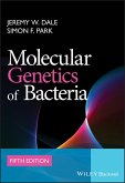 Molecular Genetics of Bacteria (eBook, PDF)