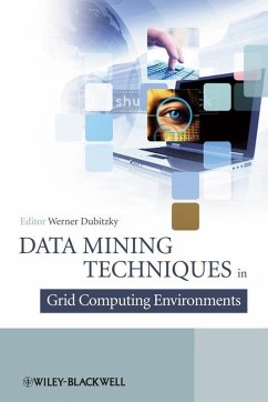 Data Mining Techniques in Grid Computing Environments (eBook, PDF)