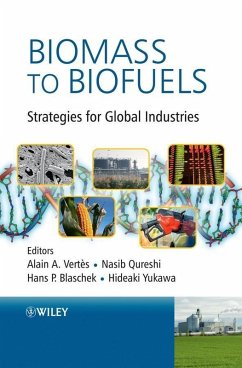 Biomass to Biofuels (eBook, PDF)